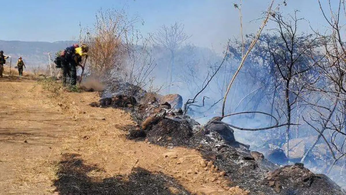 Incendio paraje San Lorenzo (1)